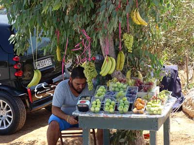 simpelweg te koop op straat - heerlijk fruit en groenten