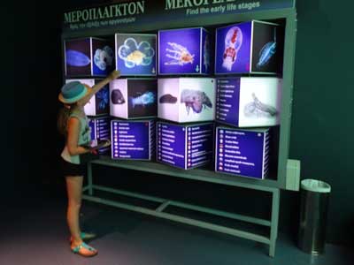 visit CretAquarium while driving road trip 58.0.0