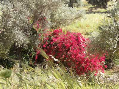 schitterende natuur in routaki road trip 32