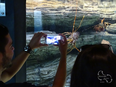 heerlijke plek om mooie foto's te maken in het CretAquarium in Gournes