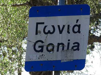 Gonia
