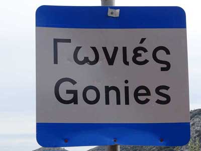 Gonies