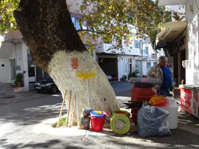 Om-de-boom-heen-in-Axos-
