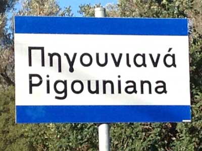 Pigouniana–