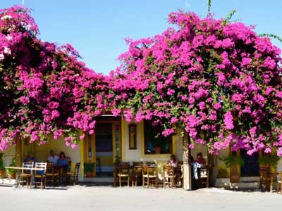 along the Lassithi plateau there are many taverns to choose from