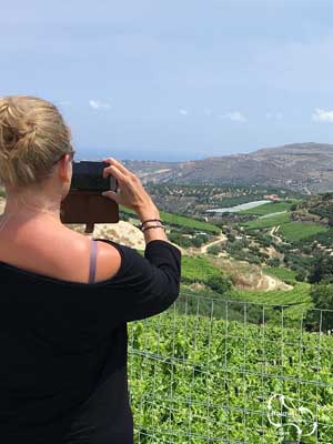 schitterende vergezichten over de druivenvelden in de heuvelachtige regio ten zuiden van Heraklion.