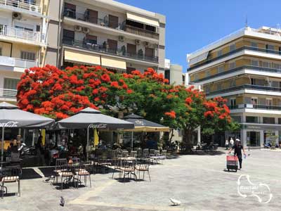 het-kleurrijke-plein-waar-het-wonder-van-Agios-Minas-the-aanschouwen-is het St. Catharina plein in Iraklio