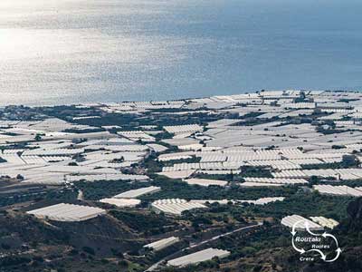 the hot houses system was introduced on Crete by a dutch man