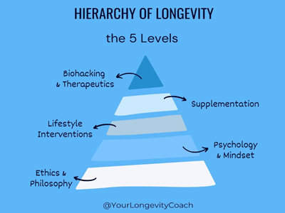 simple graphics to explain things - Your Longivety Coach