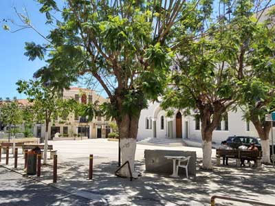 les troncs d'arbres sont peints en blanc